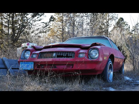 1981 Camaro "Best Used For Parts"