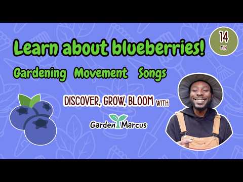 Learn about blueberries! 🫐 Gardening | Songs | Movement | Creativity | Education | Toddler Learning
