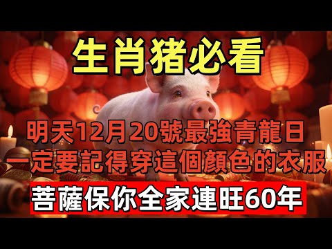 生肖猪必看！百年難遇，明天12月20號，農曆冬月初一是「最強青龍日」，一定要記得穿這個顏色的衣服，菩薩保你全家連旺60年，再倒楣也能逆天改命！#玄运生肖#屬相運勢#生肖#家運#手寫#生肖運勢的那些事