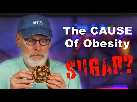 The ACTUAL Cause of Obesity. Sugar? With Kevin Hall.