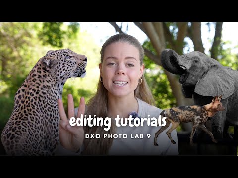 DxO Photo Lab 9 Editing Tutorial - Wildlife Photography