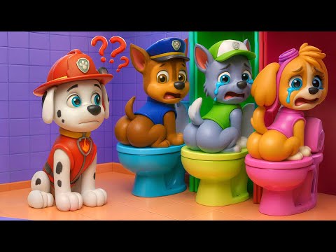 Give Me Back My Toilet - PAw PaTrol en Español - Rainbow 3