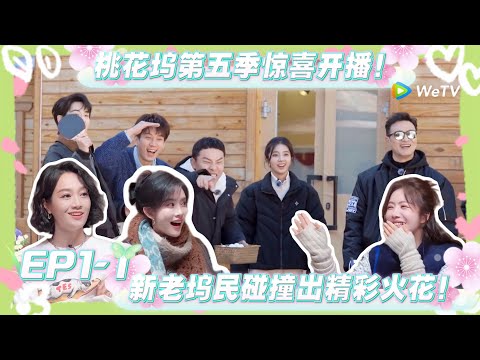 【桃五十公里花坞s5】第一期上:桃花坞第五季惊喜开播!开局就分车分房?熟悉的桃花坞回来了!#五十公里桃花坞s5 #仁科 #徐志胜 #孟子义 #综艺show