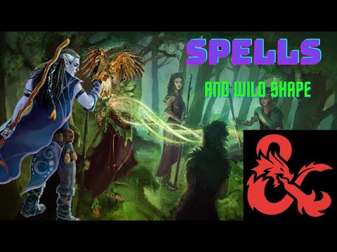 Best Spells: for Druid Wild Shape D&D 5e