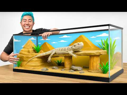 I Transformed My Pet Lizards Home!