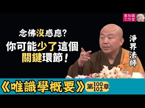 念佛沒感應？你可能少了這個關鍵環節 | 念佛感应 | 感應道交 | 都攝六根 | 淨念相繼 | 心心相印 | 盲修瞎練 | 淨界法師 | 唯識學 100~102