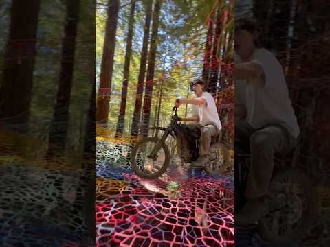 Surron vs Rope Treehouse