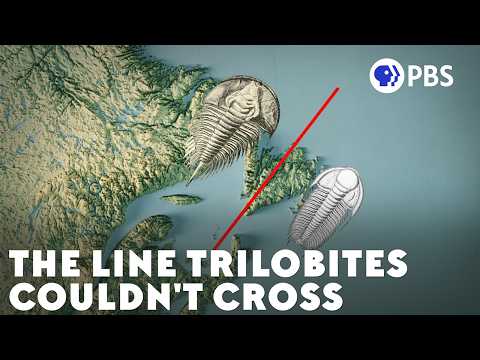 There's An Invisible Ocean Between These Fossils