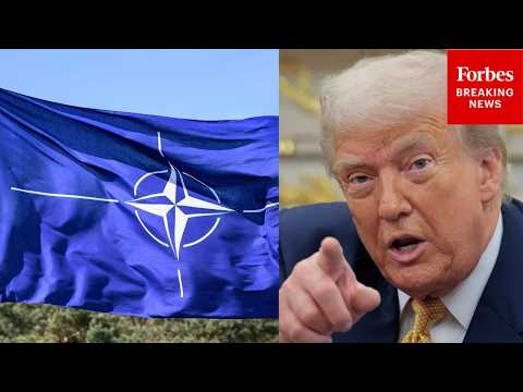 'I Received A Call From NATO Asking If We Would Like Some Help...': Trump Ruthlessly Lambasts NATO