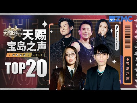 天赐2025必听的20首宝岛之声!A-Lin黄丽玲醇厚的歌声娓娓道来 杨宗纬哭腔式述说爱情的苦 |天赐的声音 主题特辑 20251203