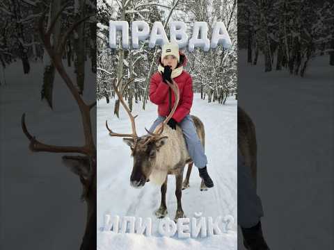 Правда или Фейк?