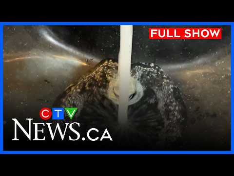 Calgary bids adieu to water restrictions | CTV News Calgary at 6 for April 2, 2026