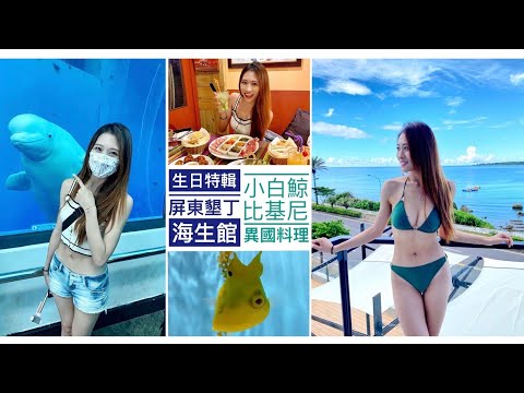 🐱屏東旅遊海生館趴趴走🐱海生館超級可愛的小白鯨和一定要走的行程？！跟墾丁南灣最大推的異國料理喔😍