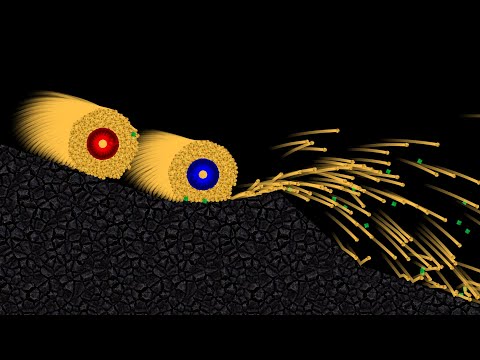 The Gold Battle 5 - Sticking Race in Algodoo