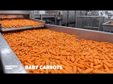 How Baby Carrots Are Really Made in Factories