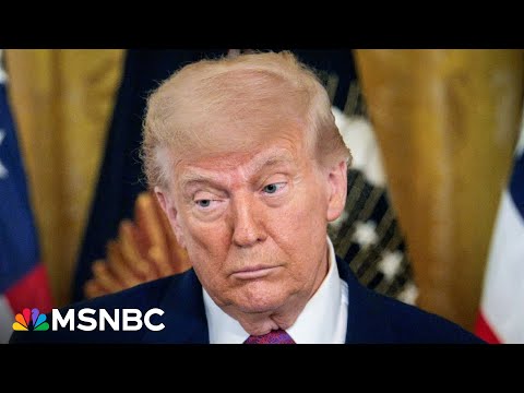 Trump sees military as ‘a function of his personal power’: Journalist on Trump’s Army parade defense