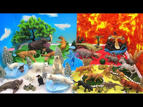 π The Amazing Animal Adventure ππ¦π¦ | Exploring Forests, Ice Lands, Volcanoes & Grasslands