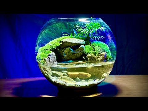 【苔テラリウム】水の流れる苔テラリウムとメダカ