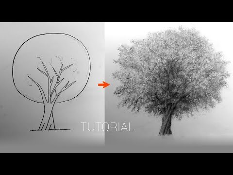 How to draw trees easily with an eraser / Pencil drawing foundation lecture, pencil drawing