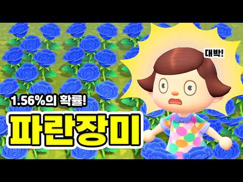 Blue Roses this easy? How to beat the odds