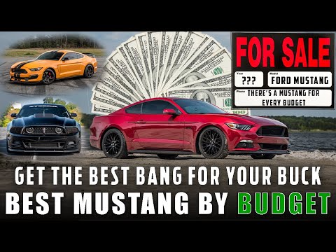 From $20k to $80k - COMPLETE Mustang Buying Guide