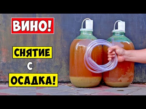 Снятие ВИНА с ОСАДКА! Когда и Как снимать вино с осадка?!