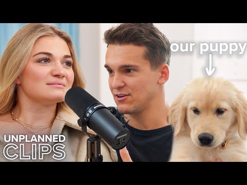 Answering your questions about our puppy