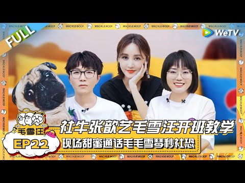 社牛张歆艺开班教学毛不易李雪琴！现场与袁弘甜蜜通话 毛毛雪琴秒社恐？|《毛雪汪》EP22 FULL #综艺 #张歆艺 #李雪琴 #毛不易