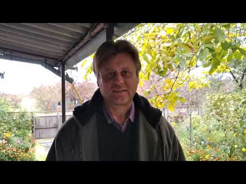 Нужен ли фосфор малине? Фосфор - лимитирующий фактор урожайности малины. Виды фосфорных удобрений