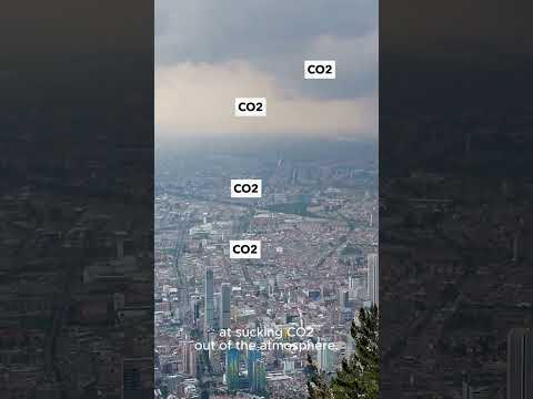 South America's unlikely water factories