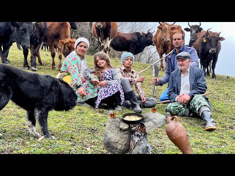 Nomads Life! Repairing of Grandfather's Wooden House and Grazing Cows in Pastures