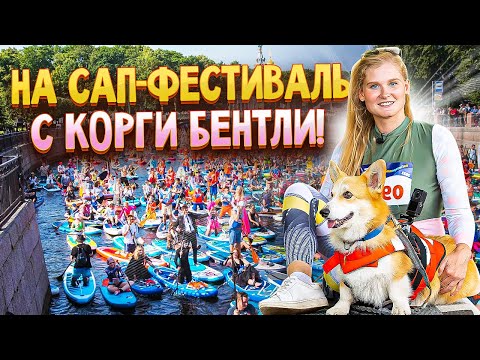 Фонтанка SUP с Анжеликой и корги Бентли!