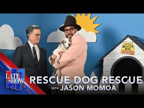 Rescue Dog Rescue with Jason Momoa