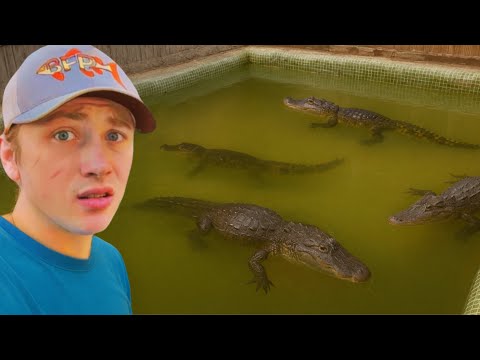 I Found Monsters Living in an Abandoned Pool!