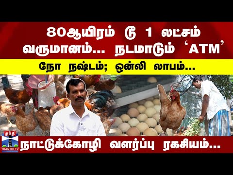 NattuKozhi | 80ஆயிரம் டூ 1 லட்சம் வருமானம்- நோ நஷ்டம்; ஒன்லி லாபம்... நாட்டுக்கோழி வளர்ப்பு ரகசியம்