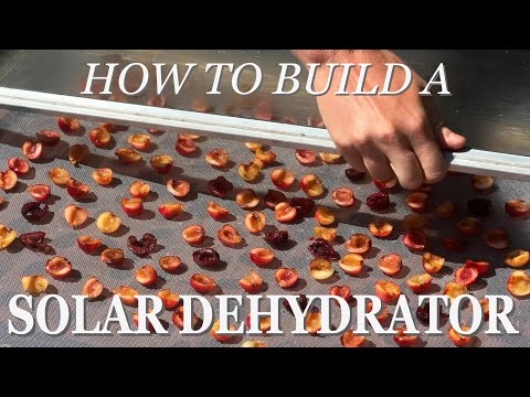 How I built a Solar Dehydrator for $20 - Full Build Tutorial