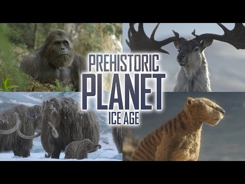 Prehistoric Planet: Ice Age - All Species Introductions