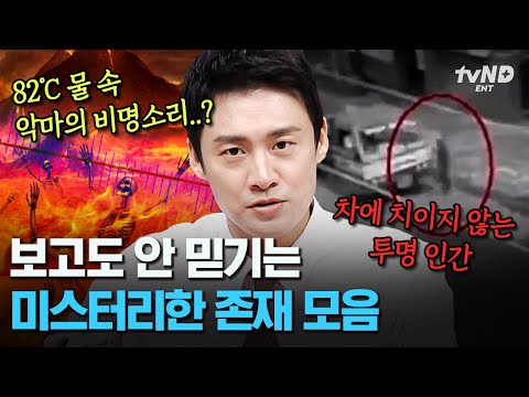[#프리한19] (40분) 82℃ 온천 속에서 들린 사람의 비명소리?!💥 지구상에서 일어나는 믿을 수 없는 미스터리 사건들💦