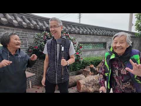 台山百曉：今日分享視頻拍攝地點是開平市荻海新美與成美村，荻海余氏名不虛傳！以前在台山僑中的課室門口見到很多荻海余氏的宗親捐款修建，那時還不認識荻海在哪裡！婆婆的童年時光是多麼的美好😊#台山 #尋根