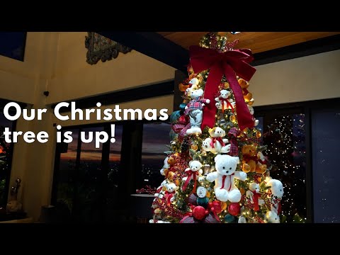 Our Christmas tree is up!🧸