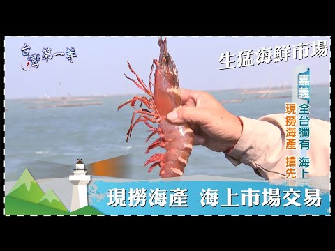 台灣第一等【獨特魚市場 攔截漁船 現撈漁獲海上交易／東港黑金 黑鮪魚拍賣達人】 _精選特輯