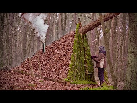 Building a Warm and Cozy Log Cabin for Survival Under a Fallen Tree. Secret Hut. Winter Bushcraft
