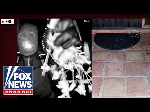 Photo shows blood and plant on front porch of Nancy Guthrie's home