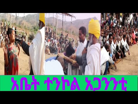 ሳአን ሰብዶ ሰብ ይሞት!!!!