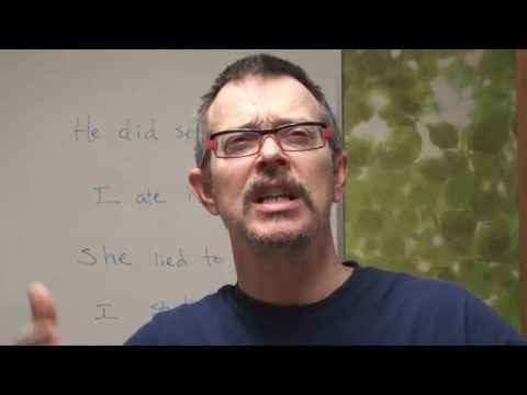 Q&A: How to use the auxiliary verb "did" to emphasize