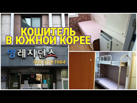КОШИТЕЛЬ В ЮЖНОЙ КОРЕЕ | НЕДОРОГОЕ ПРОЖИВАНИЕ | РУМ ТУР