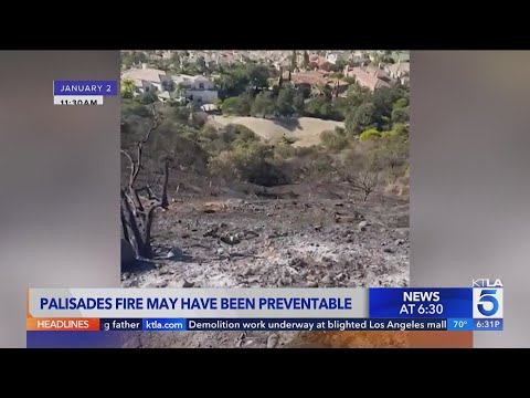 L.A. fire crews told to abandon smoldering blaze that reignited as Palisades Fire, report says
