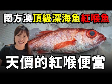 你們吃過紅喉魚便當嗎？？如果說到東部的超高級魚種...其中應該紅喉魚莫屬吧！！