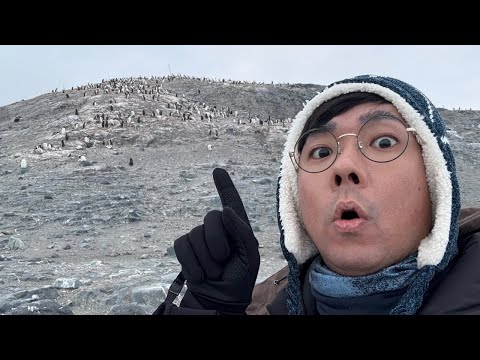 巨量企鵝出沒! 企鵝的便便原來可以這麼壯觀😍【阿滴日常南極ep.2】