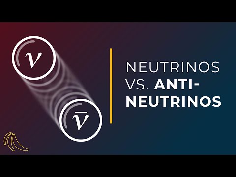 Are neutrinos their own antiparticle? | Even Bananas